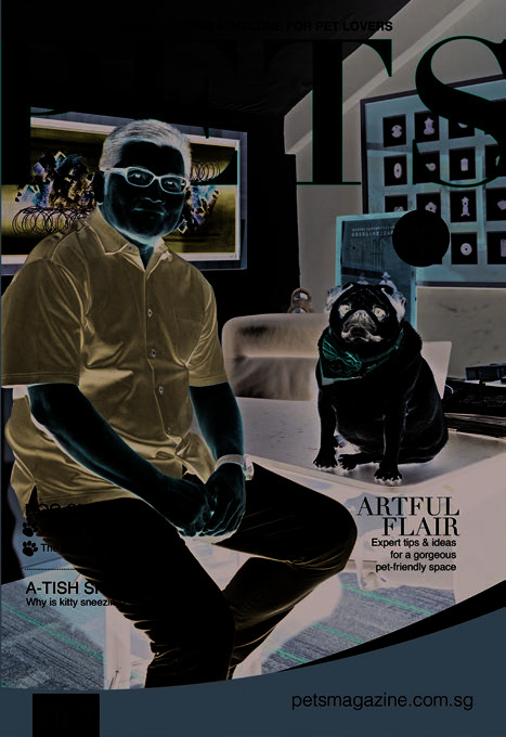 Leslie Wong featured in PETS Magazine — Artful Flair