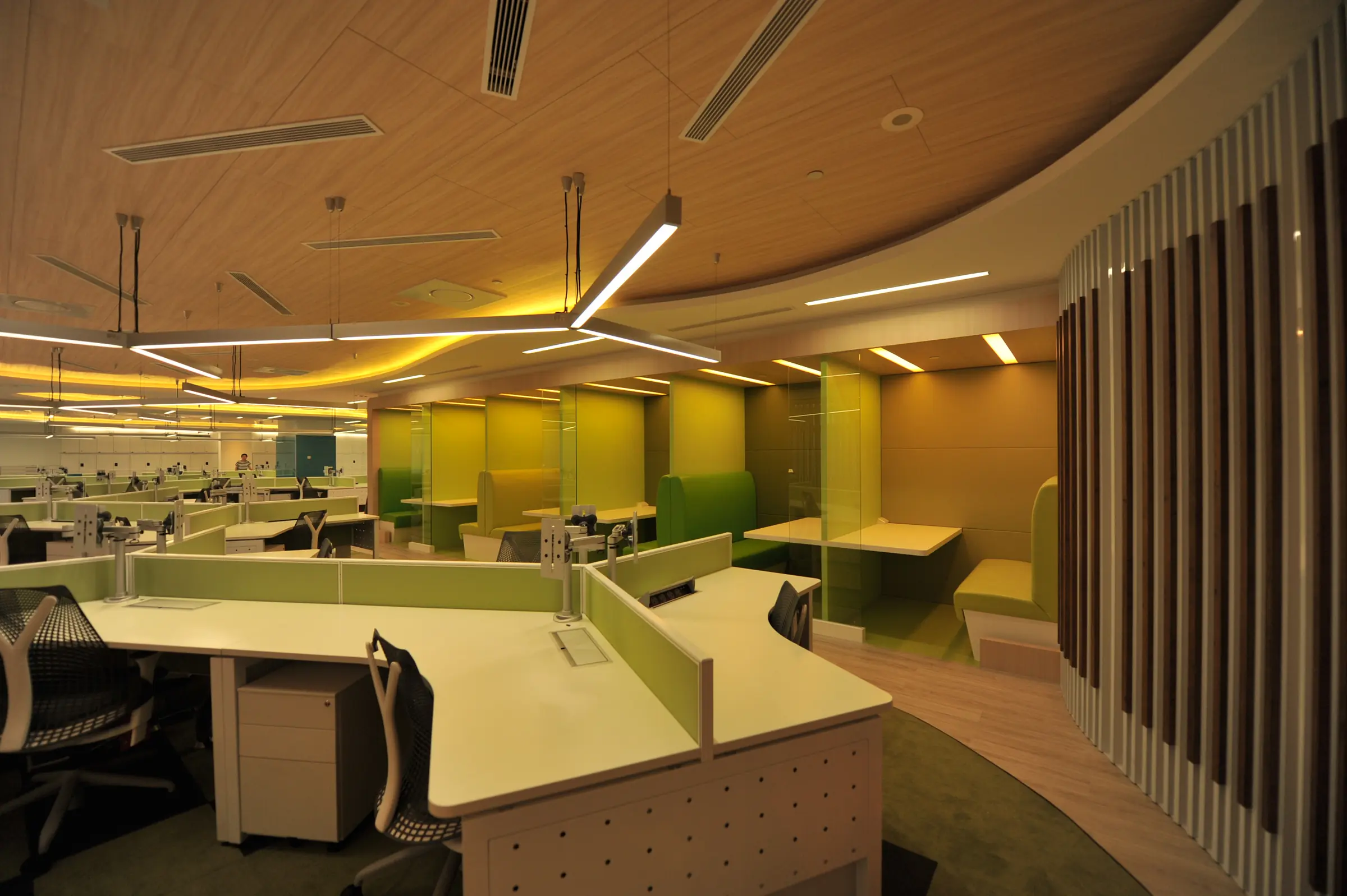 Curved timber ceiling and work areas